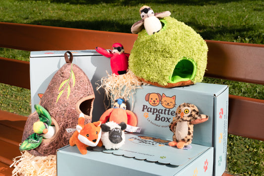 Est-ce que les chiens aiment les nouveaux jouets ?