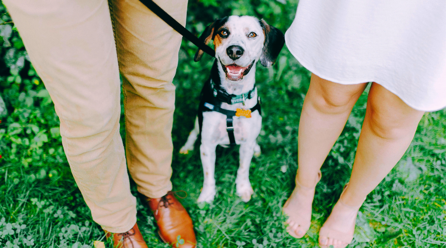 Chien joyeux assis entre deux membres de sa famille, un homme et une femme, debout sur l’herbe, symbolisant le lien familial avec leur animal de compagnie.