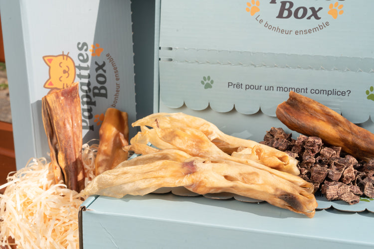 Friandises naturelles PapattesCroc pour chien : oreilles de lapin séchées, peau de cheval et carrés de poumon de bœuf disposés sur une box PapattesBox.