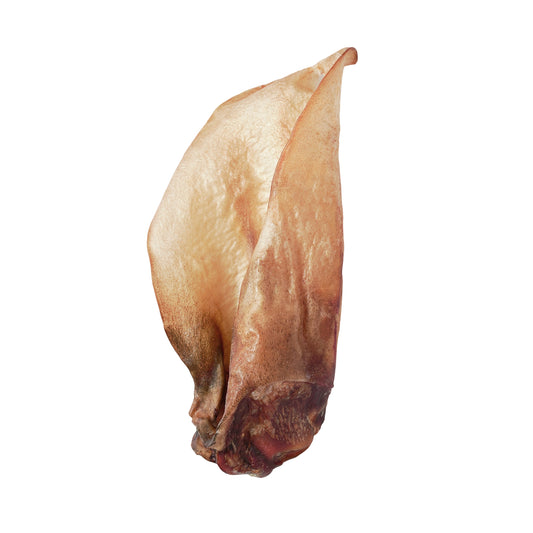 Friandise pour chien oreille de bœuf séchée, sans poils, idéale pour la mastication et l’hygiène dentaire.