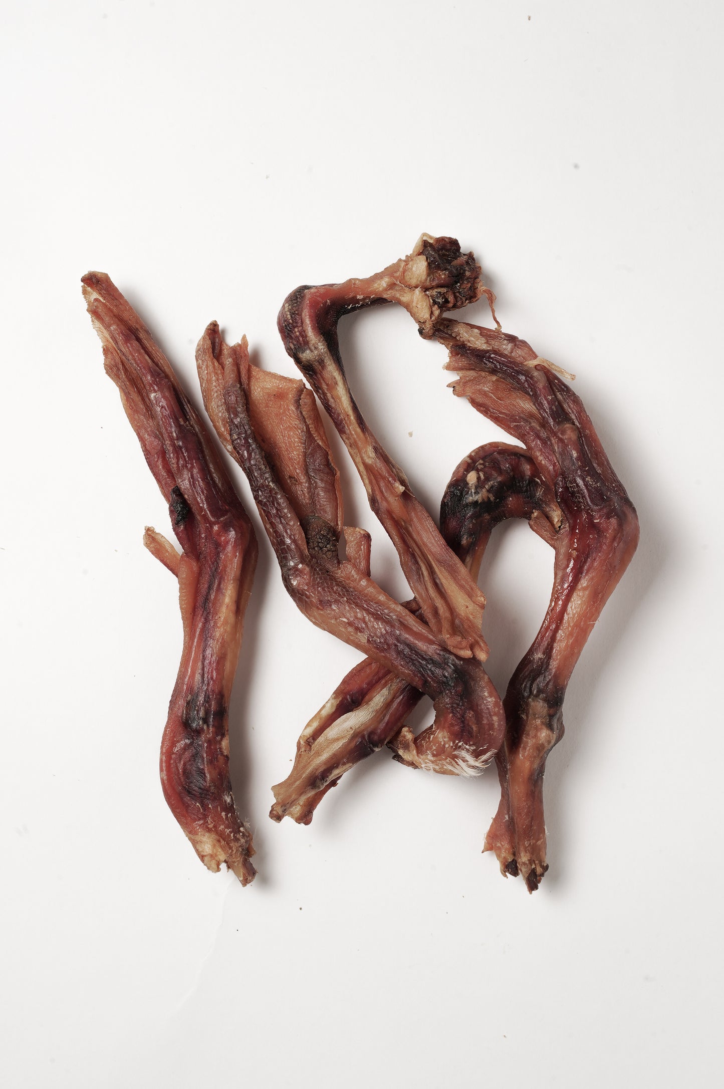 Pattes de canard séchées – friandise 100% naturelle pour chien, croquante et riche en nutriments, idéale pour l’entretien des dents et des gencives.