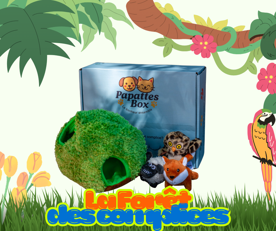 PapattesBox La Forêt des Complices – box surprise chien et chat avec jouets forêt et friandises