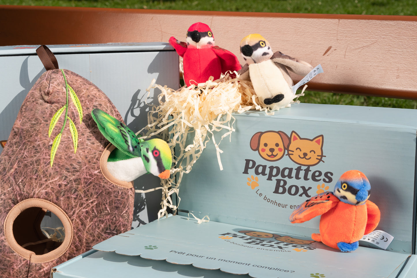 PapattesBox ouverte avec jouets en peluche en forme d’oiseaux colorés et nichoir en tissu, box surprise mensuelle pour chien.