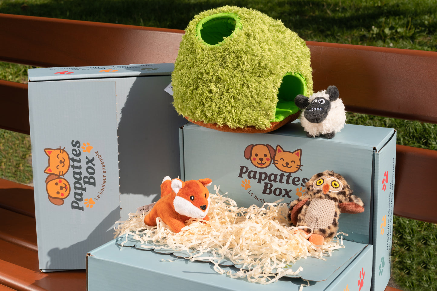 PapattesBox avec jouets pour chien en peluche : renard, mouton, hibou et niche verte, box surprise mensuelle avec jouets originaux.