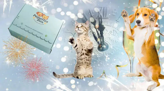 Célébrer le Nouvel An avec votre animal de compagnie : conseils et idées PapattesBox