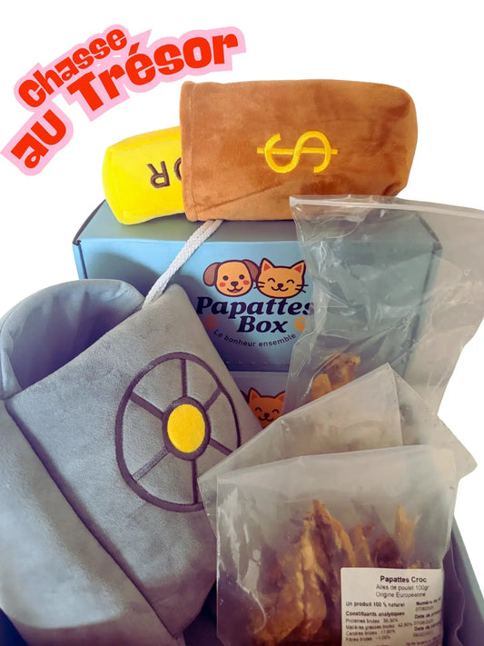 PapattesBox Toutou – Chasse au Trésor
