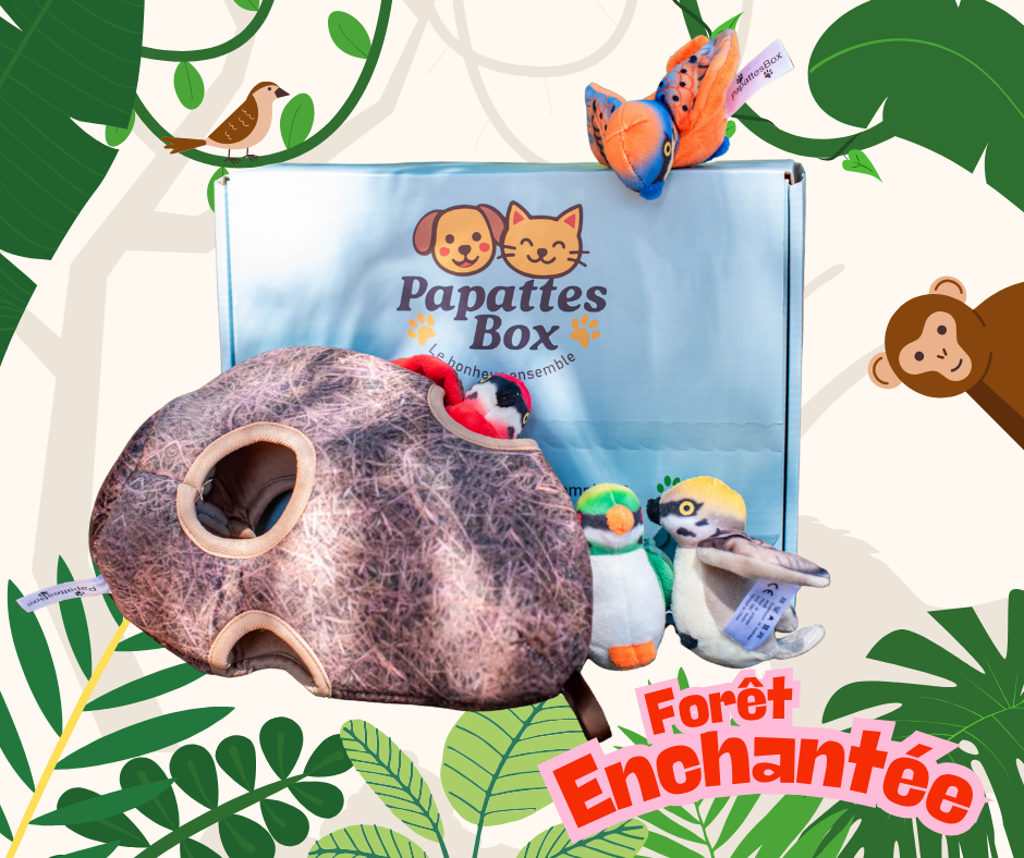 PapattesBox Forêt Enchantée – box mensuelle chien et chat avec jouets peluche nature et friandises