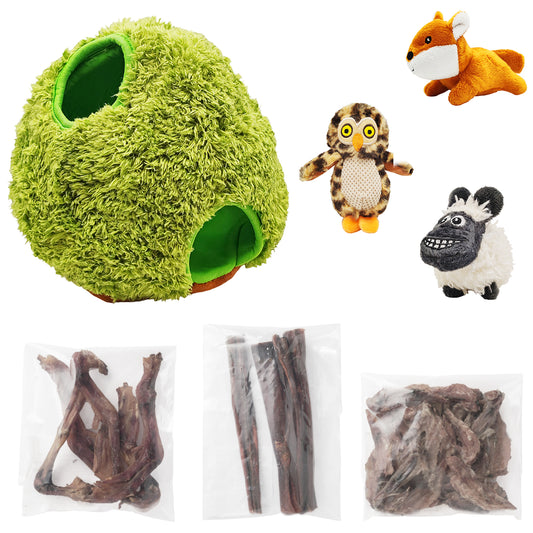 Coffret cadeau chien PapattesBox Thème Forêt des Complices – peluches interactives et gourmandises naturelles.