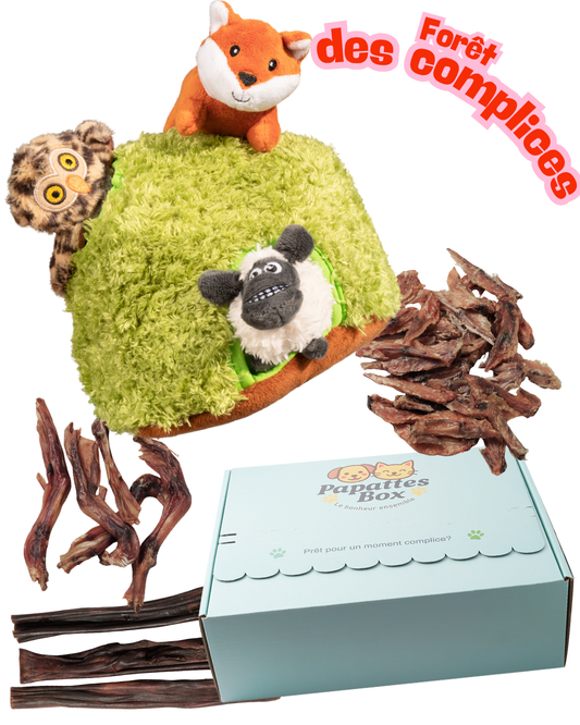Box PapattesBox thème Forêt des complices avec jouets en peluche (renard, hibou, mouton), friandises naturelles pour chien (pattes et morceaux de viande séchée) et coffret bleu personnalisé.