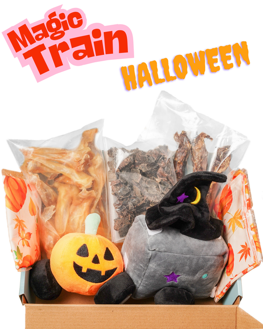 Box Magic Train Halloween pour chien — peluche citrouille et wagon sorcier, friandises naturelles incluses. Thème festif et ludique pour partager la magie d’Halloween avec ton compagnon.