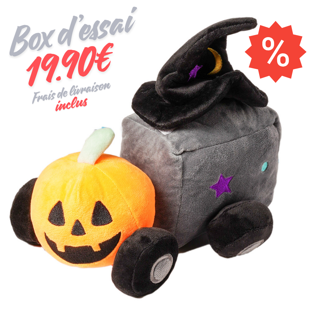 Box d’essai Halloween Magic Train pour chien — peluche citrouille et wagon sorcier à 19,90 €, frais de livraison inclus. Un jouet festif et original pour célébrer Halloween avec ton compagnon.