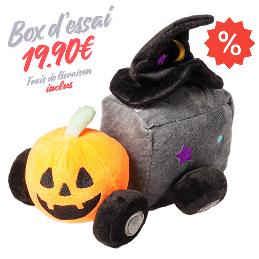 Box d’essai Halloween Magic Train pour chien — peluche citrouille et wagon sorcier à 19,90 €, frais de livraison inclus. Un jouet festif et original pour célébrer Halloween avec ton compagnon.