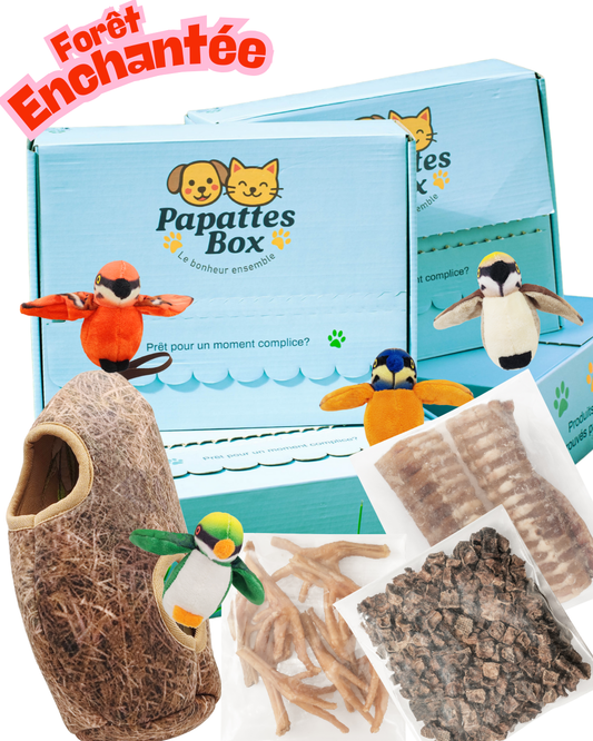 PapattesBox Forêt Enchantée – Box surprise pour chien et chat contenant jouets thématiques oiseaux et friandises naturelles (trachée de bœuf, pattes de poulet, dés de viande séchée)
