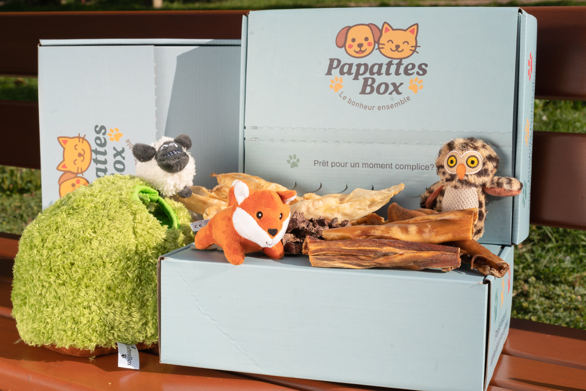 PapattesBox ouverte avec jouets en peluche pour chien (renard, mouton, hibou) et friandises naturelles, box surprise mensuelle chien et chat.