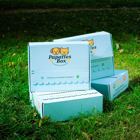 PapattesBox Toutou - Abonnement (cadeau pour chien) PapattesBox