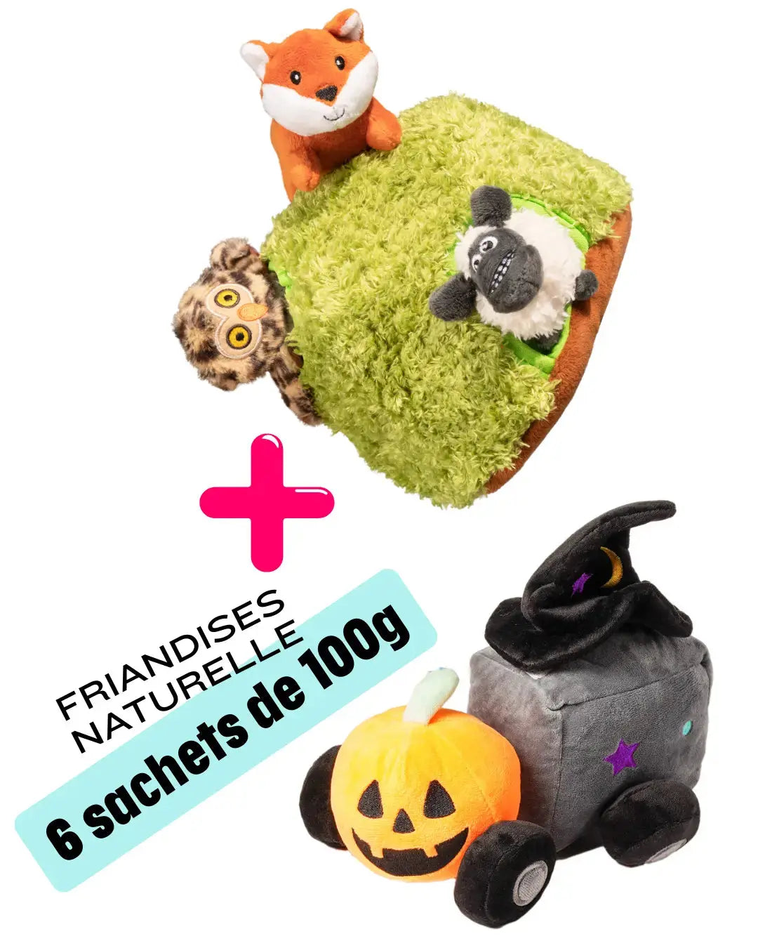 PapattesBox Toutou - Saint Valentin Pack couple (2 Box complices pour chien)