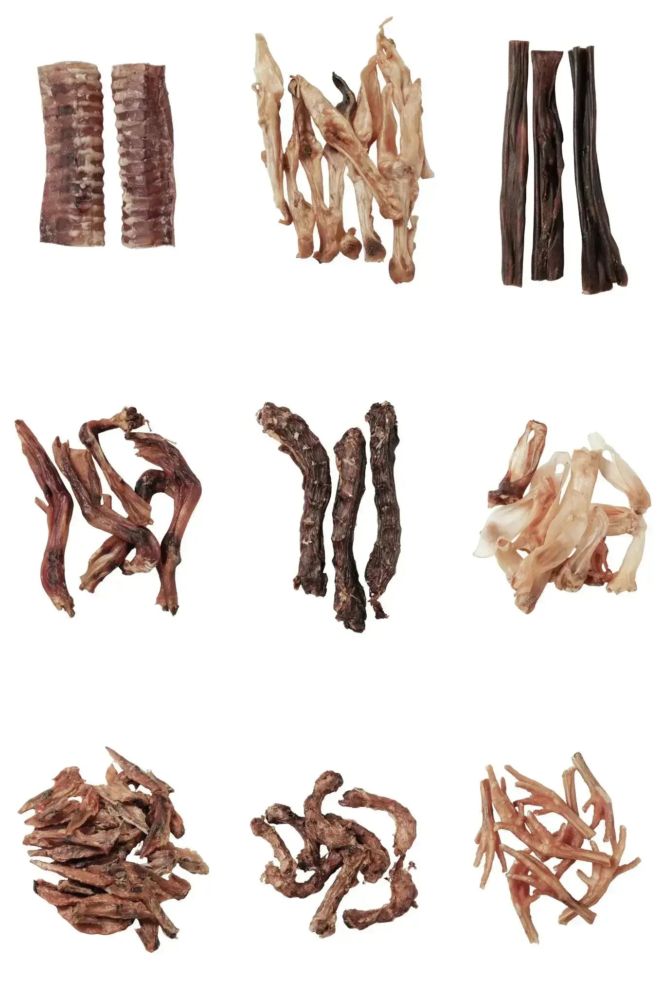 Assortiment de friandises naturelles pour chiens — trachée de bœuf, cous de canard, bâtonnets de bœuf, filets de poulet, gésiers, et autres morceaux séchés, sans additifs ni conservateurs.
